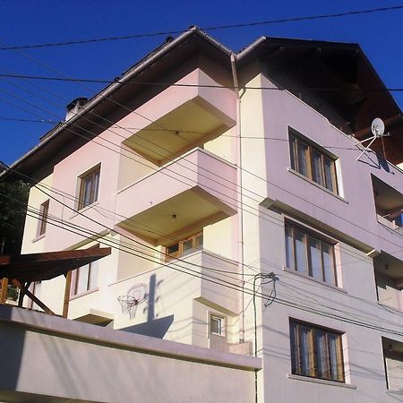 Vitosha Guest House Devin Buitenkant foto